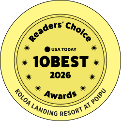 USA TODAY 10Best Readers’ Choice Awards 2026