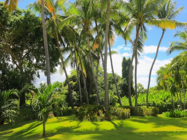 Koloa Landing Resort