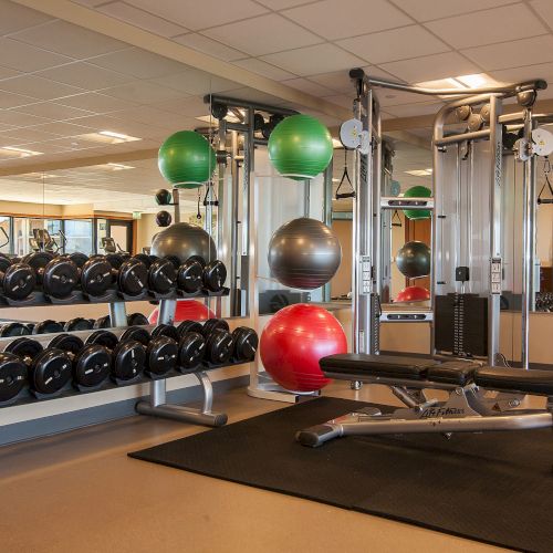 A gym with weights, exercise balls, benches, and workout machines in a mirrored room, neatly organized for fitness activities.