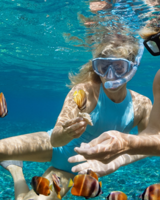 Two snorkelers are underwater, interacting with tropical fish in clear blue water, sharing an engaging and colorful marine experience together.